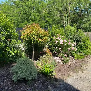  Hébergement de vacances La Petite Caserne - 4 étoiles -